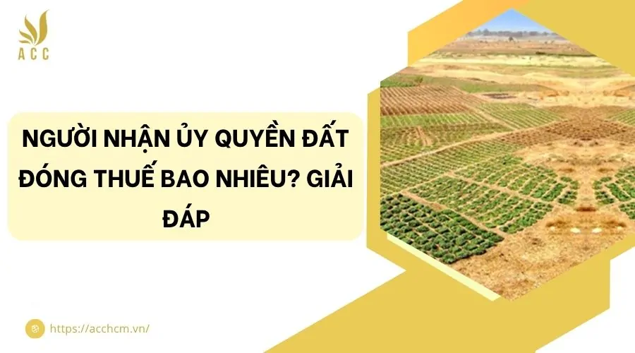 Người nhận ủy quyền đất đóng thuế bao nhiêu? Giải đáp