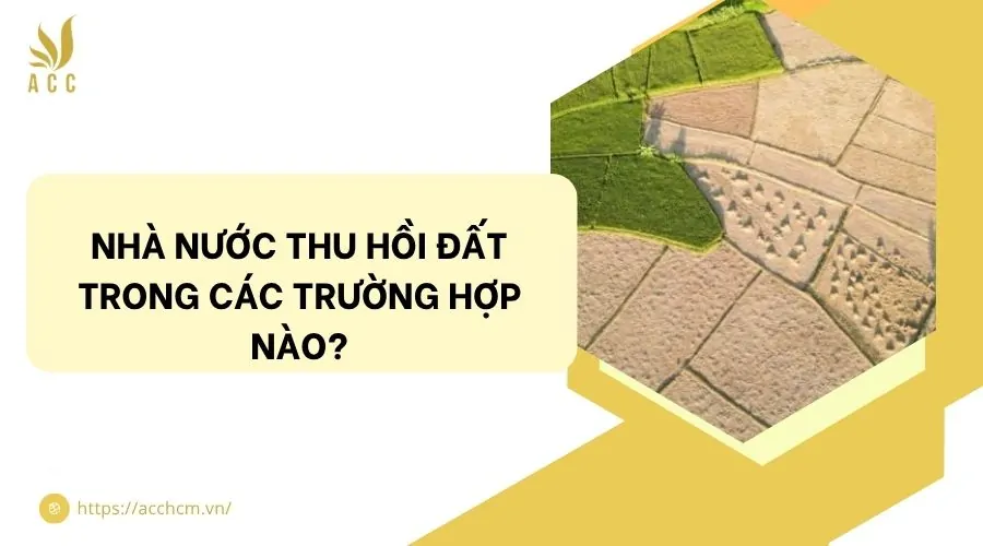 Nhà nước thu hồi đất trong các trường hợp nào?
