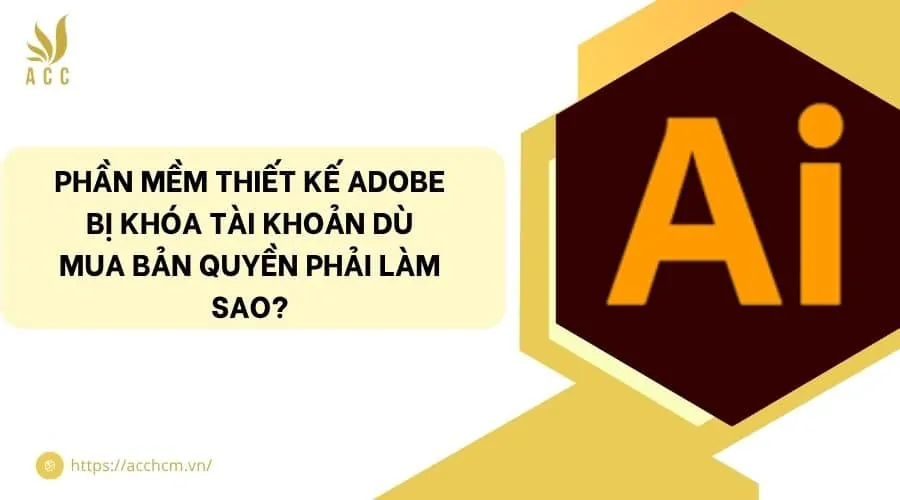 Phần mềm thiết kế adobe bị khóa tài khoản dù mua bản quyền phải làm sao?