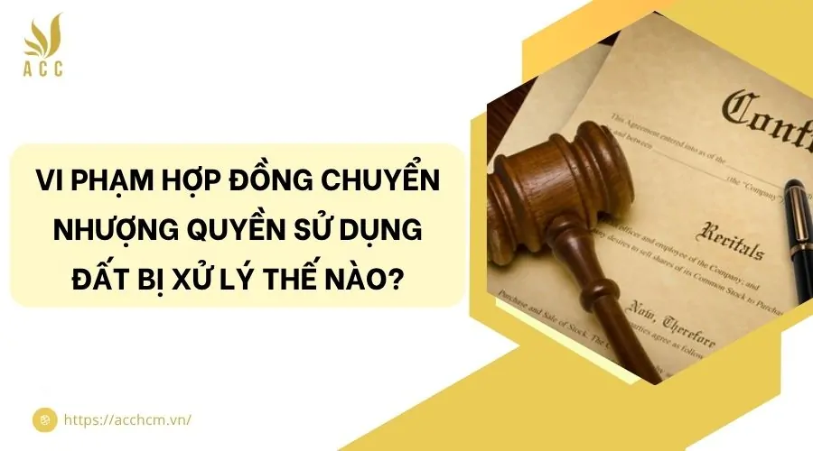 Vi phạm hợp đồng chuyển nhượng quyền sử dụng đất bị xử lý thế nào?