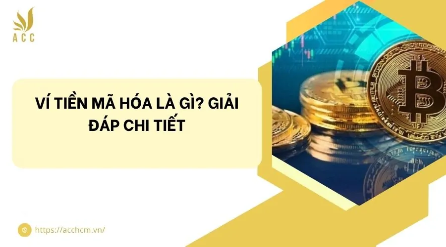 Ví tiền mã hóa là gì? Giải đáp chi tiết
