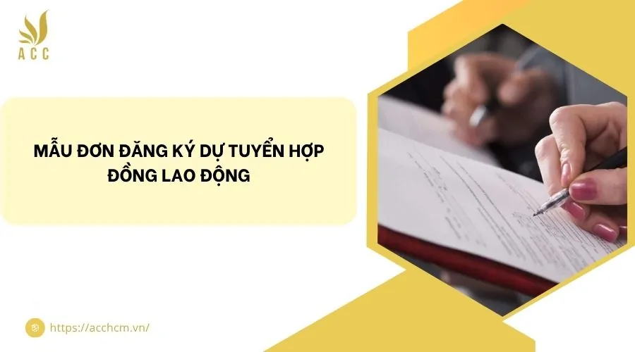 Mẫu đơn đăng ký dự tuyển hợp đồng lao động