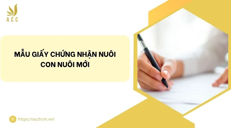 Mẫu giấy chứng nhận nuôi con nuôi mới