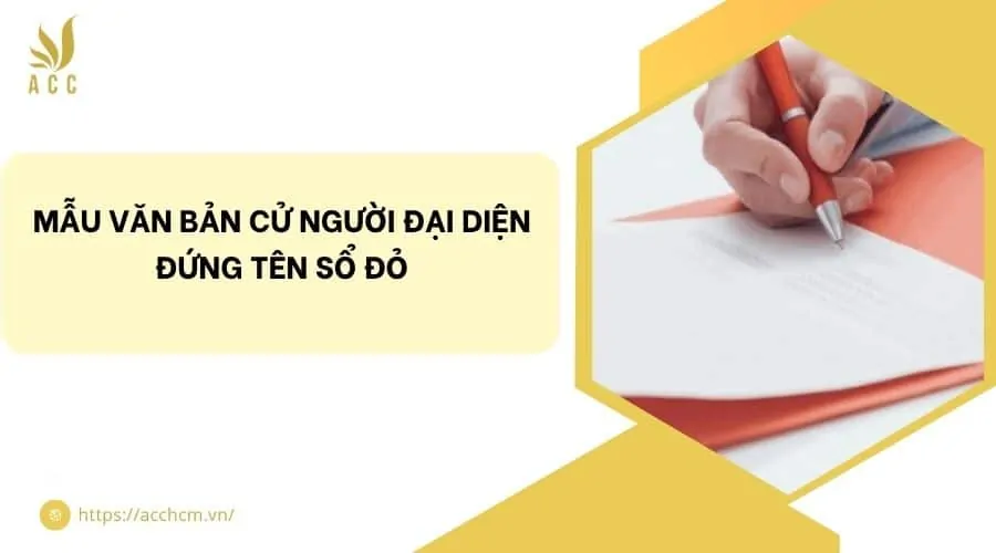 Mẫu văn bản cử người đại diện đứng tên sổ đỏ