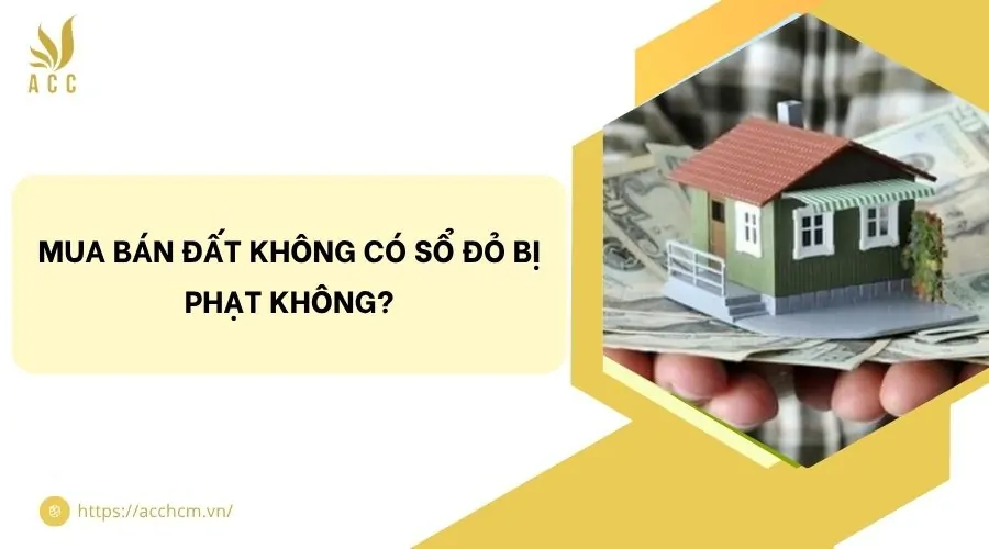 Mua bán đất không có sổ đỏ bị phạt không?