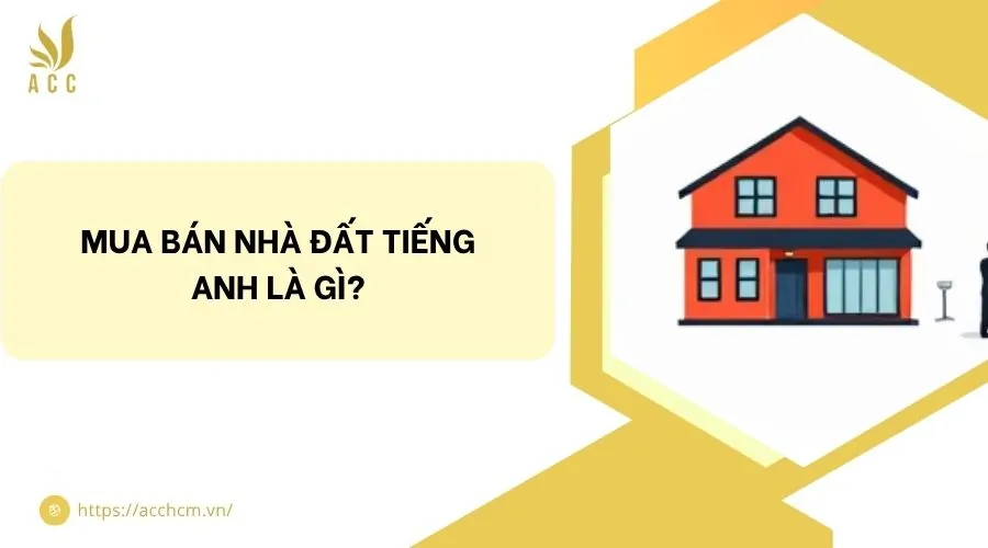 Mua bán nhà đất tiếng Anh là gì?