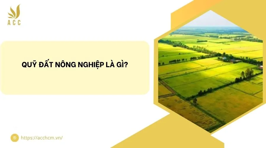 Quỹ đất nông nghiệp là gì?
