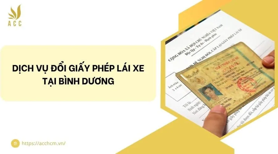 Dịch vụ đổi giấy phép lái xe tại Bình Dương