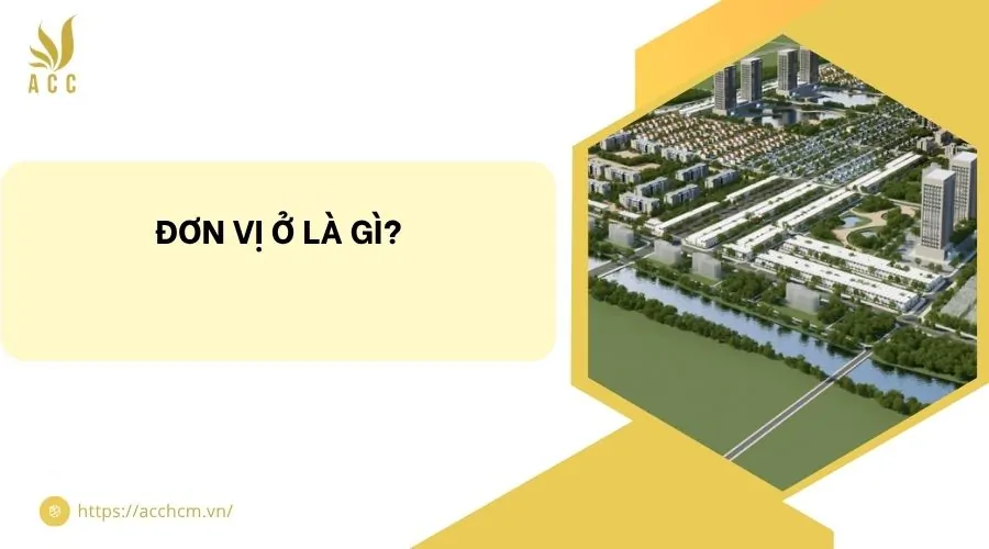 Đơn vị ở là gì?