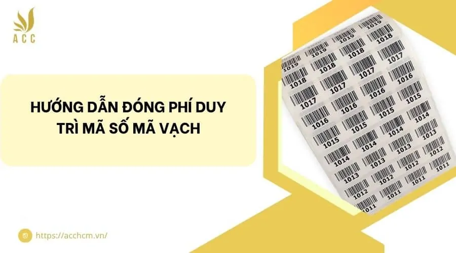 Hướng dẫn đóng phí duy trì mã số mã vạch