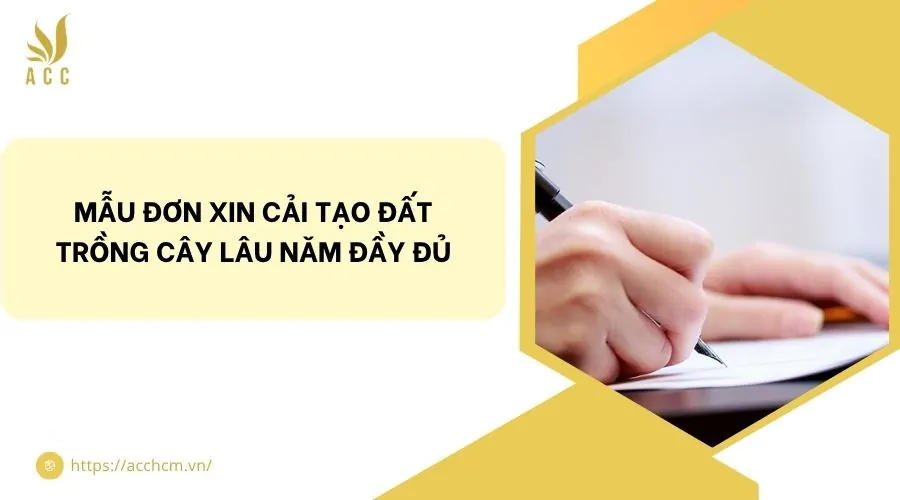 Mẫu đơn xin cải tạo đất trồng cây lâu năm đầy đủ