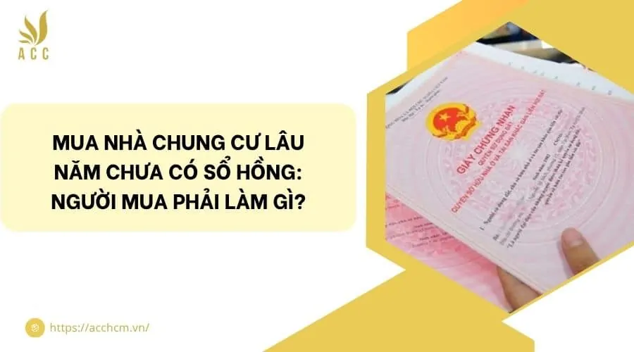 Mua nhà chung cư lâu năm chưa có Sổ hồng: Người mua phải làm gì?