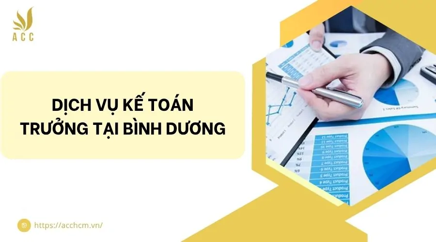 Dịch vụ kế toán trưởng tại Bình Dương