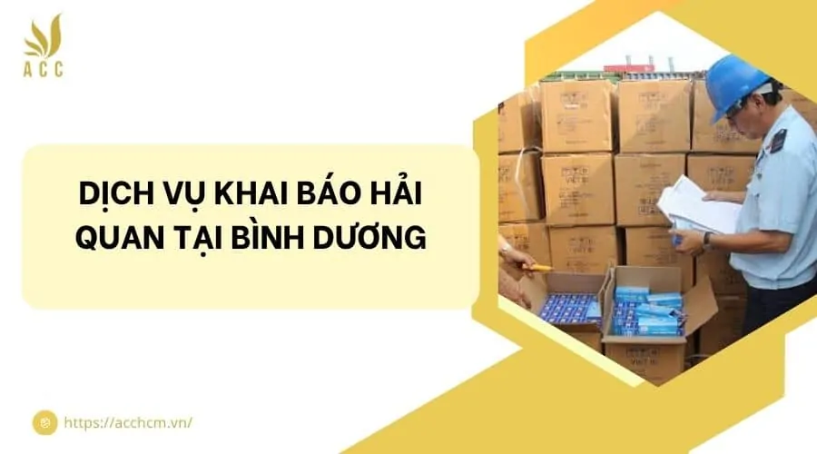 Dịch vụ khai báo hải quan tại Bình Dương