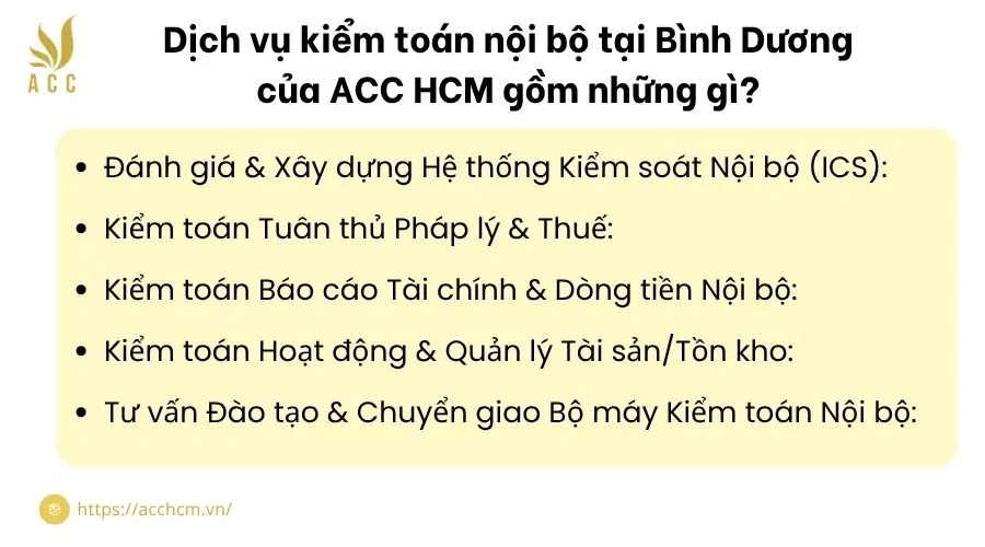 Dịch vụ kiểm toán nội bộ tại Bình Dương của ACC HCM gồm những gì