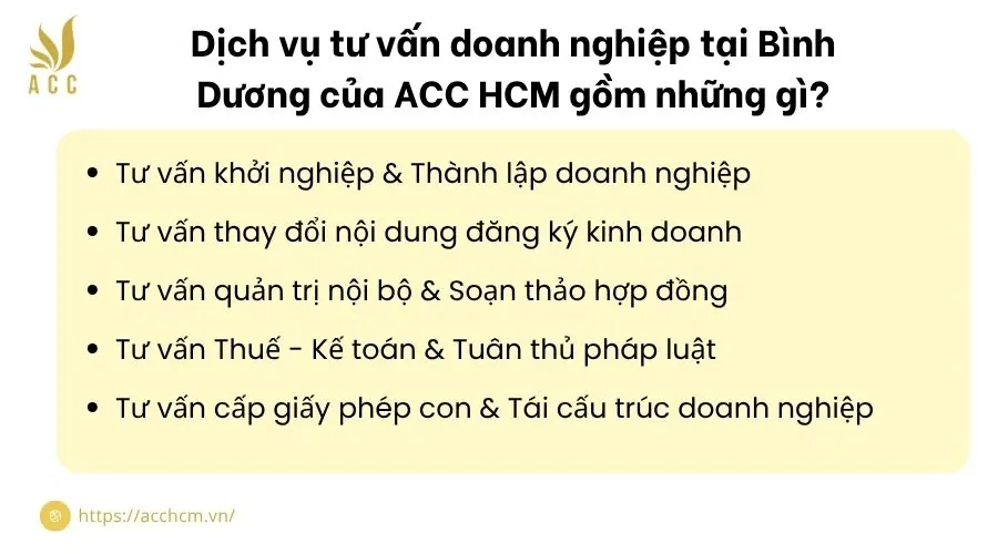 Dịch vụ tư vấn doanh nghiệp tại Bình Dương của ACC HCM gồm những gì