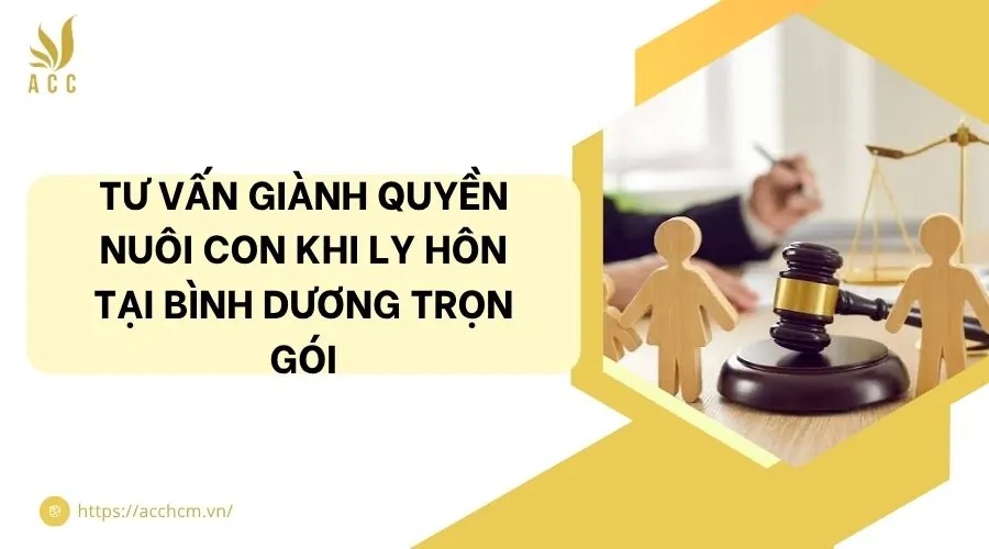 Tư vấn giành quyền nuôi con khi ly hôn tại Bình Dương trọn gói