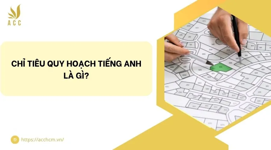 Chỉ tiêu quy hoạch tiếng Anh là gì?